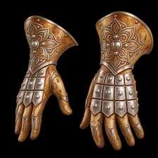 Desert Gloves